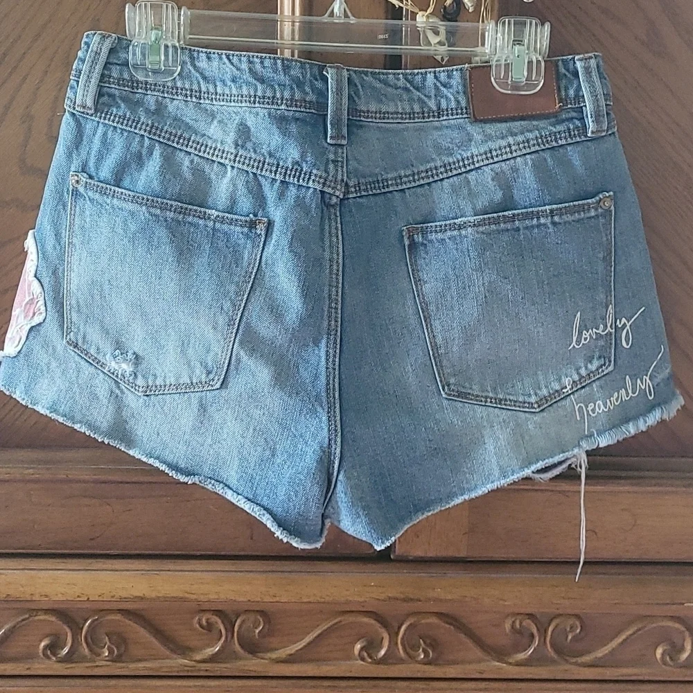Zara Embroidered Distress/Destroy Denim Shorts